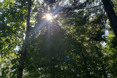 20230708_154549